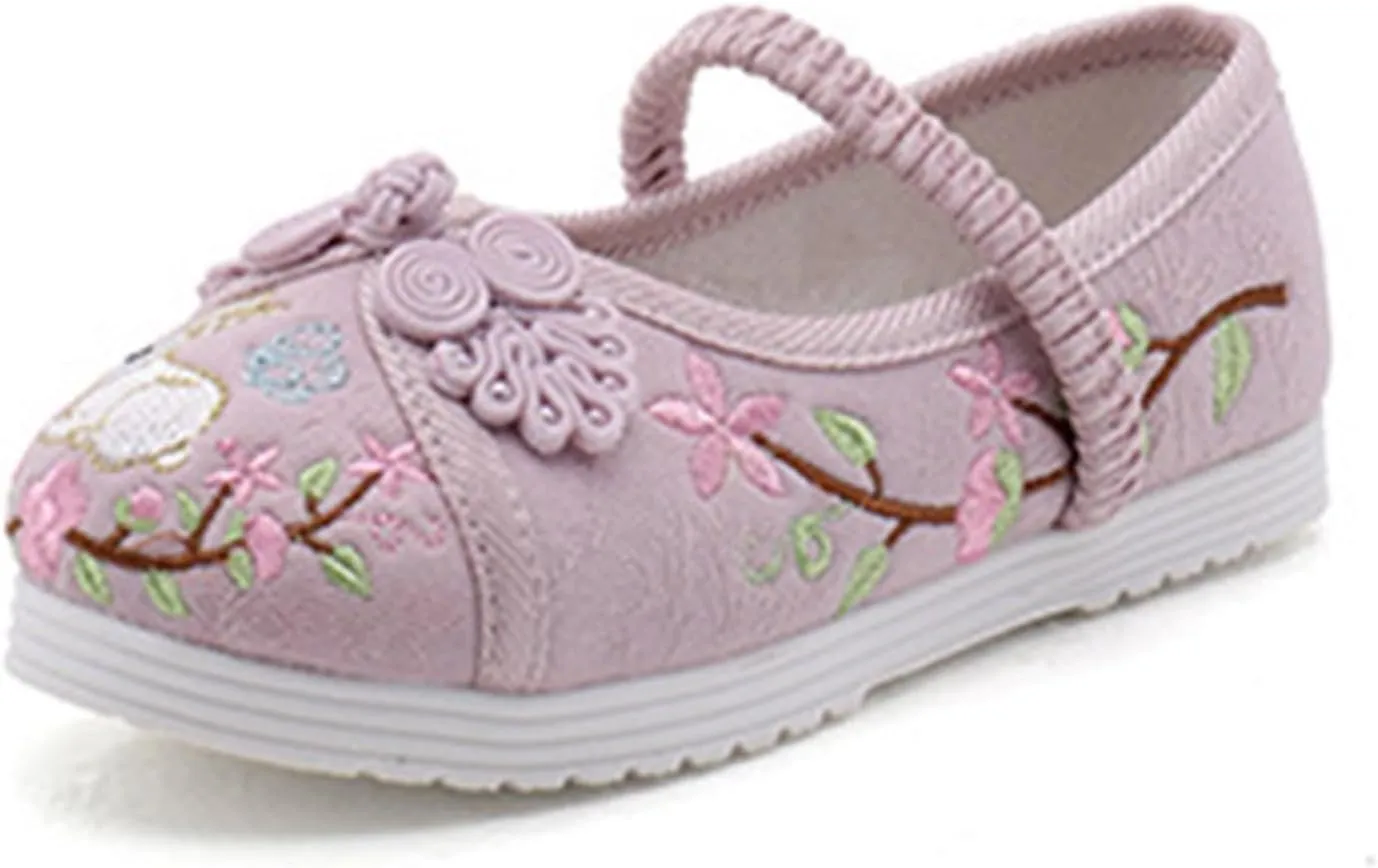 Girl Mary Jane Dance Shoes Chinese Traditional Floral Butterfly Embroidery Shoes Dress Ballet Flats