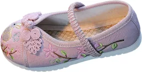 Girl Mary Jane Dance Shoes Chinese Traditional Floral Butterfly Embroidery Shoes Dress Ballet Flats