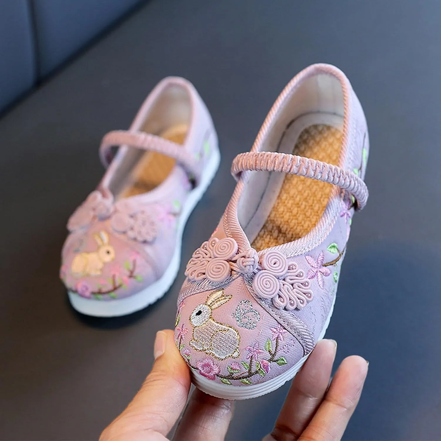 Girl Mary Jane Dance Shoes Chinese Traditional Floral Butterfly Embroidery Shoes Dress Ballet Flats
