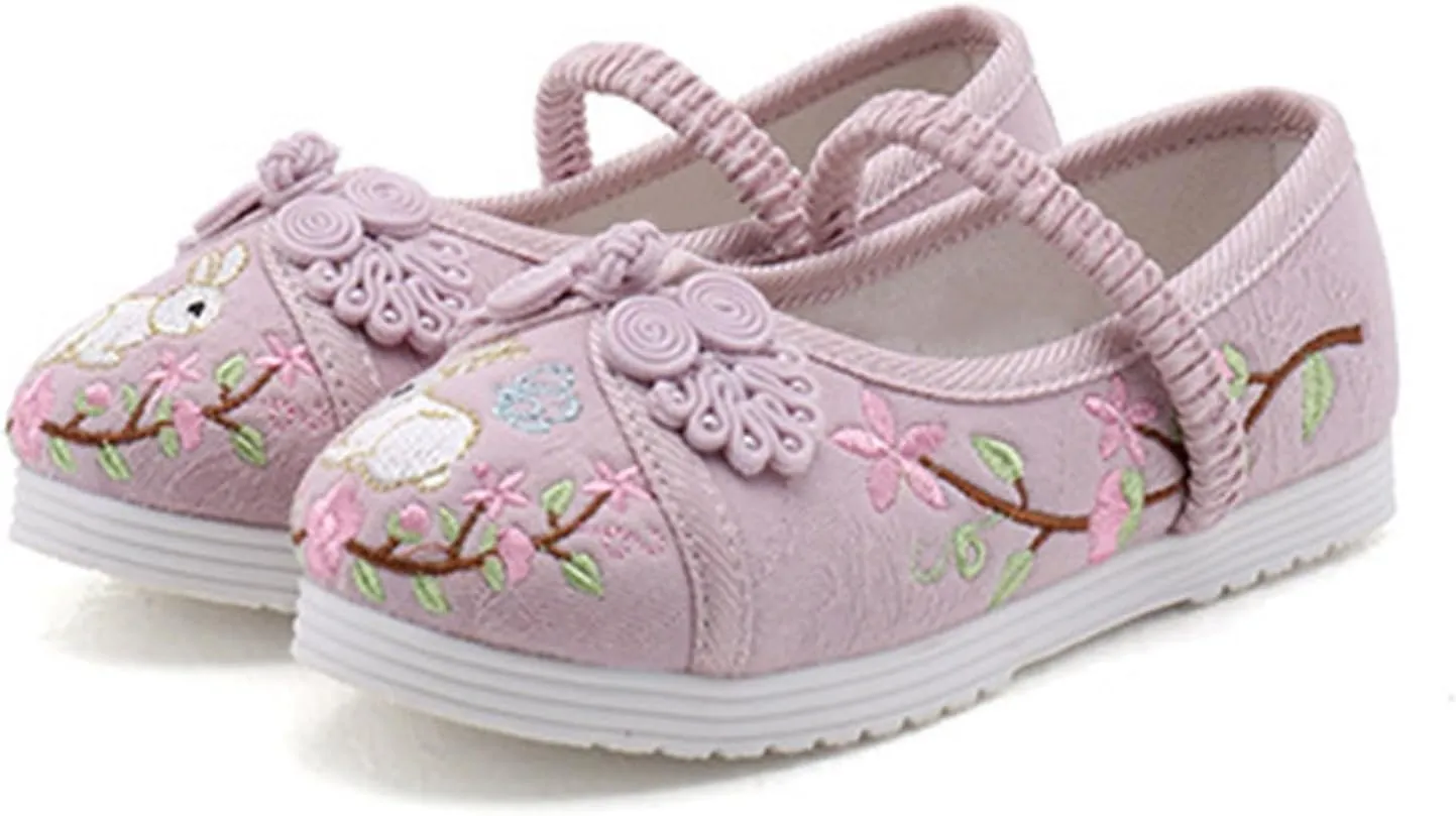 Girl Mary Jane Dance Shoes Chinese Traditional Floral Butterfly Embroidery Shoes Dress Ballet Flats