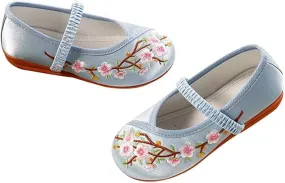 Stunner Girls Mary Jane Flat Shoes Embroidered Princess Dress Shoes Slip on School Party Flats(Toddler/Little Kids/Big Kids)